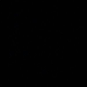 Meet your Posher, Lily